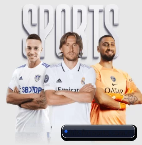hit-fbsports.com.cn的方向